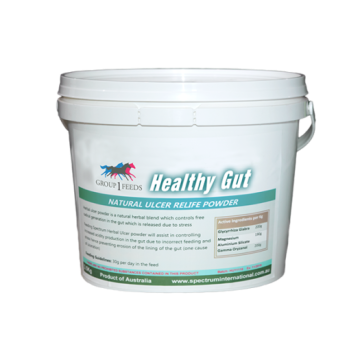 group1feeds_healthy-gut-powder-700x525-1.png
